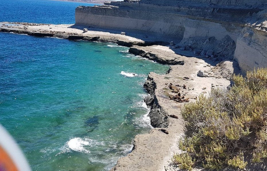 Puerto Pirámides, Argentina